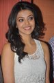 Actress Kajal Agarwal in Duplicate Movie Press Meet Stills