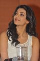 Actress Kajal Agarwal in Duplicate Movie Press Meet Stills