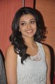 Actress Kajal Agarwal in Duplicate Movie Press Meet Stills