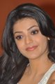 Actress Kajal Agarwal in Duplicate Movie Press Meet Stills