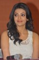 Actress Kajal Agarwal in Duplicate Movie Press Meet Stills