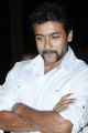 Actor Suriya Sivakumar Latest Stills at Singam 2 Movie Press Meet