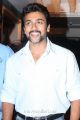 Actor Suriya Latest Stills at Singam 2 Movie Press Meet