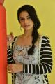 Suryakantham Movie Heroine Perlene Bhesania Images