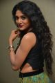 Sushma Raj Hot Pictures @ Nayaki Audio Launch