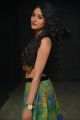 Sushma Raj Hot Pictures @ Nayaki Audio Launch