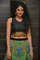 Sushma Raj Hot Pictures @ Nayaki Audio Release