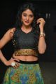 Sushma Raj Hot Pictures @ Nayaki Audio Release