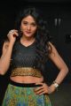 Sushma Raj Hot Pictures @ Nayaki Audio Release