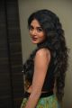 Sushma Raj Hot Pictures @ Nayaki Audio Launch