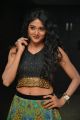 Actress Sushma Raj Hot Pictures @ Nayaki Audio Release