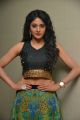 Sushma Raj Hot Pictures @ Nayaki Audio Launch