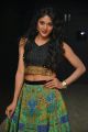 Sushma Raj Hot Pictures @ Nayaki Audio Launch