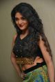 Sushma Raj Hot Pictures @ Nayaki Audio Release