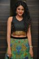 Sushma Raj Hot Pictures @ Nayaki Audio Release