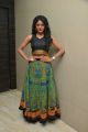 Sushma Raj Hot Pictures @ Nayaki Audio Launch