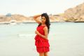 India Pakistan Movie Actress Sushma Raj Hot Stills