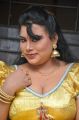 Sushmita Hot Stills at Amma Nanna Oorelithe Audio Release