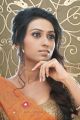 Telugu Actress Susiq Hot Saree Photoshoot Stills