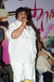 Swamy Rara 50 Days Event Stills