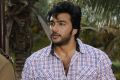 Actor Sathya in Swasame Tamil Movie Stills