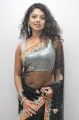 Swathi Varma Hot in Black Transparent Saree Photoshoot Stills