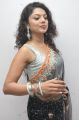 Swathi Varma Hot Saree Stills at Deal Audio Release