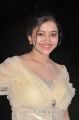 Actress Swetha Basu Hot Photos at Chandamama Audio Launch