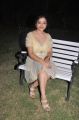 Actress Swetha Basu Hot Photos at Chandamama Audio Release