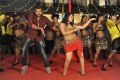 Swetha Basu Prasad Hot Stills from Intelligent Idiots