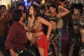 Intelligent Idiots Swetha Basu Prasad Hot Item Song Stills