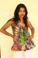 Swetha Basu Prasad Photo Shoot Pics