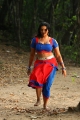 Swetha Menon Hottest Stills in Saree