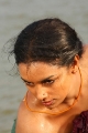 Swetha Menon Hottest Stills in Saree