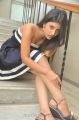Telugu Actress Swetha Pandit Hot Photoshoot Pics
