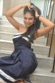 Telugu Actress Swetha Pandit Spicy Hot Pics
