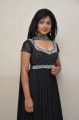 Actress Swetha Shaini Photos @ Romantic Target Teaser Launch