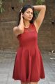 Actress Swetha Varma Hot in Red Dress Photos