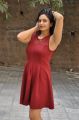 Actress Swetha Varma Hot in Red Dress Photos