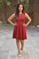 Actress Swetha Varma Hot in Red Dress Photos