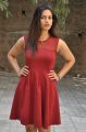 Mithai Movie Actress Swetha Varma Hot Photos in Red Dress