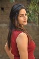 Actress Swetha Varma Hot in Red Dress Photos