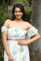 Actress Swetha Varma Pics @ Marriage And Divorce Movie Press Meet