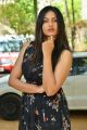 Actress Swetha Varma Pics @ Sanjeevani Movie Trailer Launch