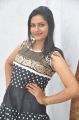 Actress Swetha Varma Stills @ Pora Pove Success Meet