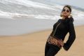 Actress Bhavana in Swiss Bank Ki Daaredi Movie Stills