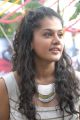 Taapsee Cute Stills at Vasul Raja Movie Launch