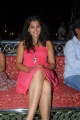 Actress Taapsee Hot Stills Pics Photos