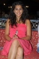 Actress Taapsee Hot Stills Pics Photos