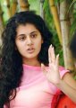 Taapsee Pannu Cute Stills